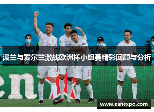 波兰与爱尔兰激战欧洲杯小组赛精彩回顾与分析