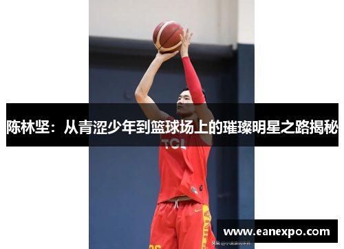陈林坚：从青涩少年到篮球场上的璀璨明星之路揭秘