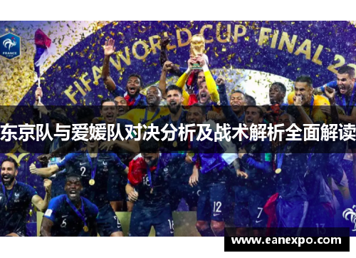 东京队与爱媛队对决分析及战术解析全面解读